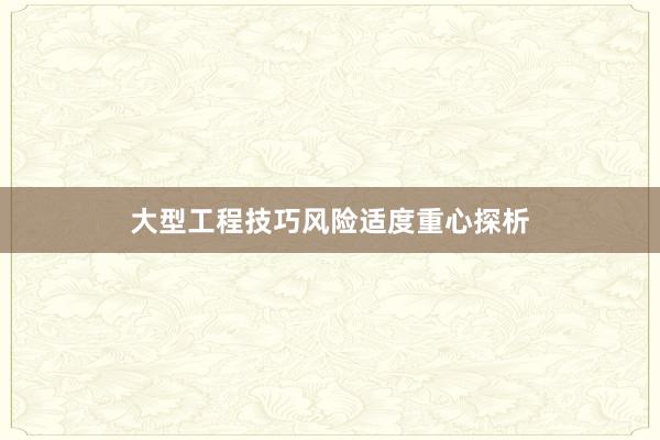 大型工程技巧风险适度重心探析