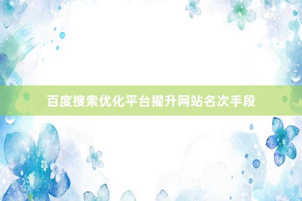 百度搜索优化平台擢升网站名次手段