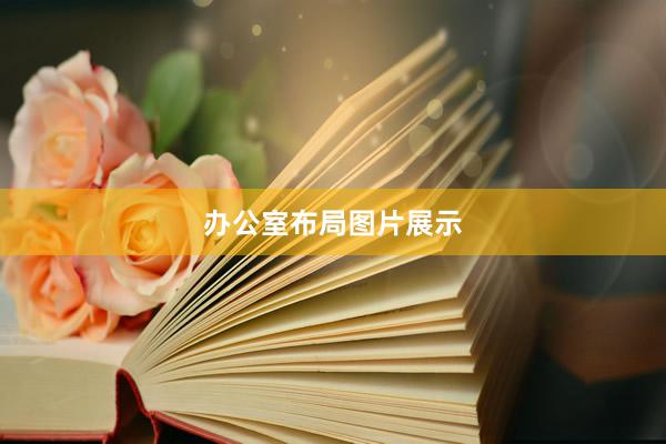 办公室布局图片展示